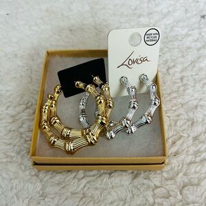 Bamboo Hoop Earrings in Gold and Silver color